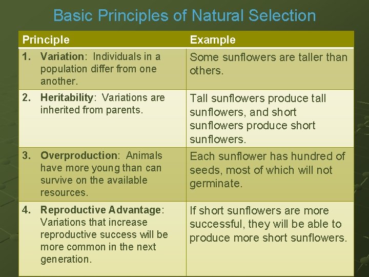 Basic Principles of Natural Selection Principle Example 1. Variation: Individuals in a population differ