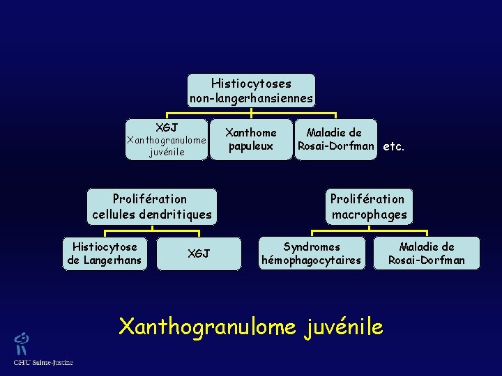 Histiocytoses non-langerhansiennes XGJ Xanthogranulome juvénile Prolifération cellules dendritiques Histiocytose de Langerhans XGJ Xanthome papuleux