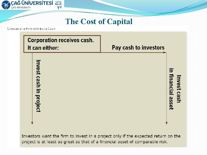 The Cost of Capital 