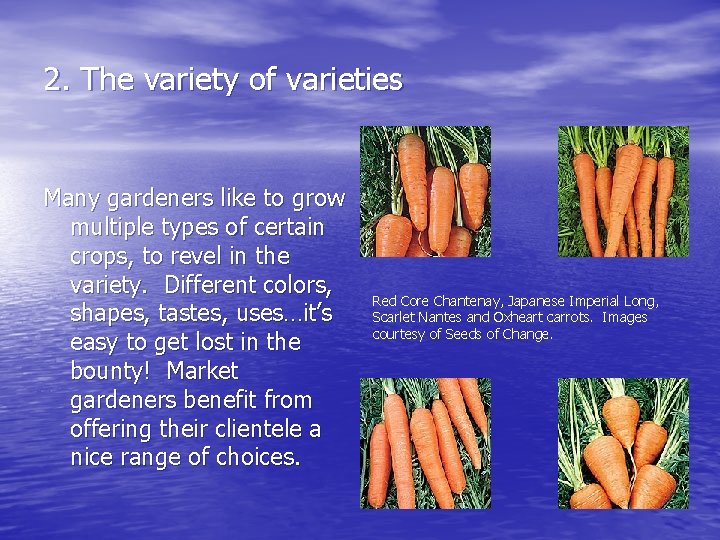 2. The variety of varieties Many gardeners like to grow multiple types of certain