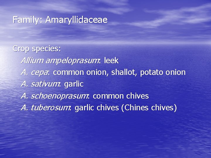 Family: Amaryllidaceae Crop species: Allium ampeloprasum: leek A. cepa: common onion, shallot, potato onion