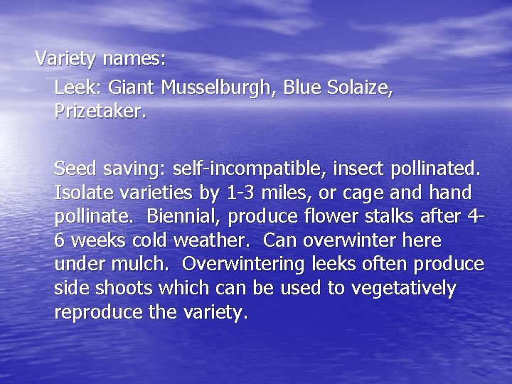 Variety names: Leek: Giant Musselburgh, Blue Solaize, Prizetaker. Seed saving: self-incompatible, insect pollinated. Isolate