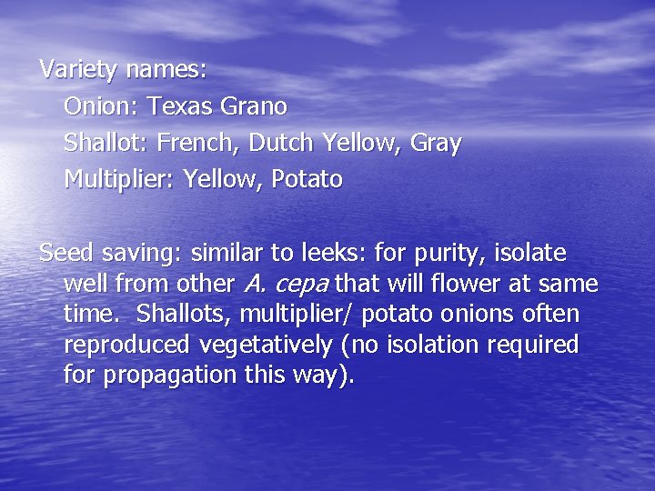 Variety names: Onion: Texas Grano Shallot: French, Dutch Yellow, Gray Multiplier: Yellow, Potato Seed
