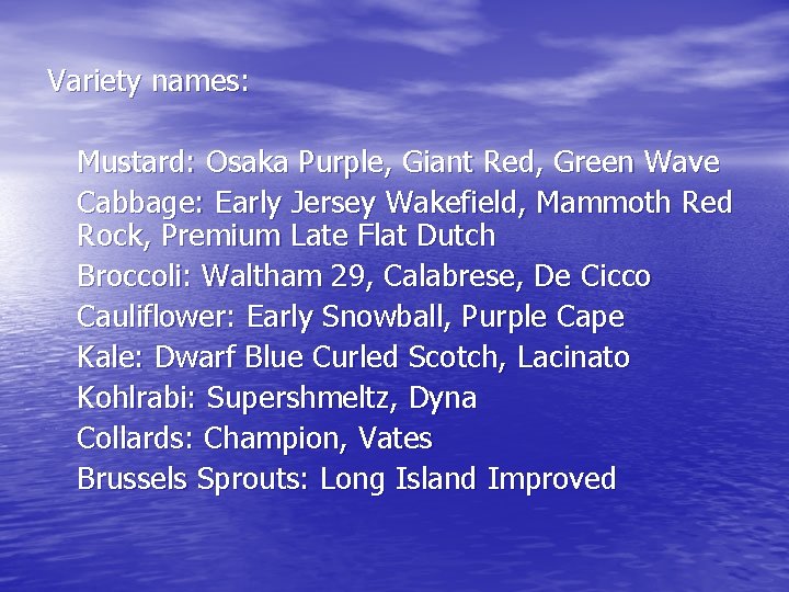Variety names: Mustard: Osaka Purple, Giant Red, Green Wave Cabbage: Early Jersey Wakefield, Mammoth