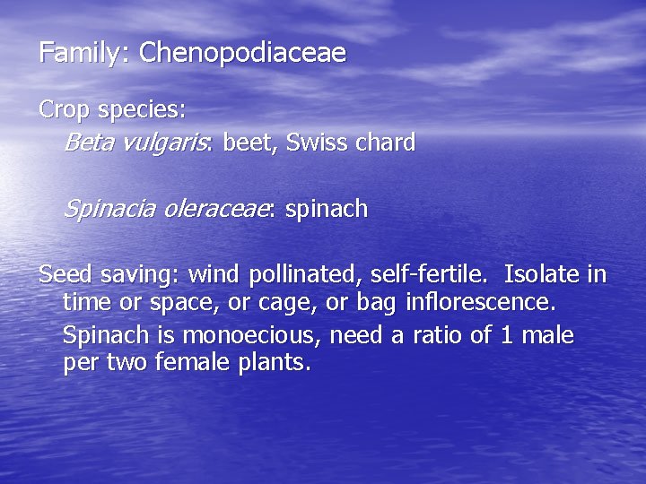 Family: Chenopodiaceae Crop species: Beta vulgaris: beet, Swiss chard Spinacia oleraceae: spinach Seed saving: