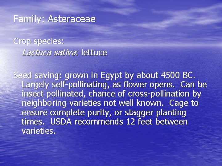 Family: Asteraceae Crop species: Lactuca sativa: lettuce Seed saving: grown in Egypt by about