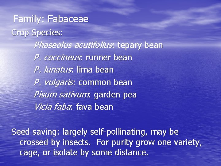 Family: Fabaceae Crop Species: Phaseolus acutifolius: tepary bean P. coccineus: runner bean P. lunatus:
