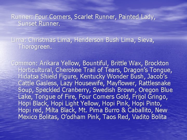 Runner: Four Corners, Scarlet Runner, Painted Lady, Sunset Runner. Lima: Christmas Lima, Henderson Bush