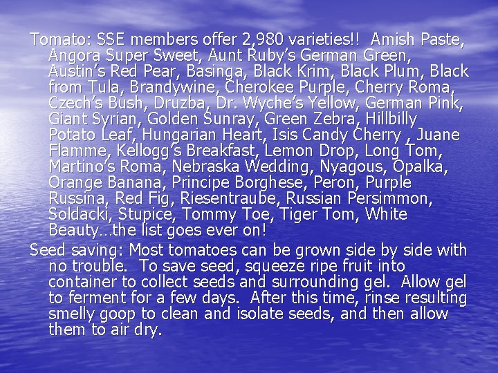 Tomato: SSE members offer 2, 980 varieties!! Amish Paste, Angora Super Sweet, Aunt Ruby’s