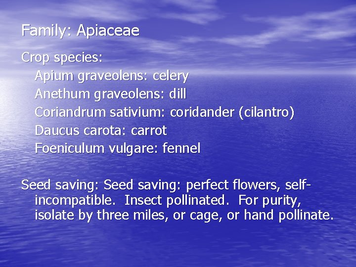 Family: Apiaceae Crop species: Apium graveolens: celery Anethum graveolens: dill Coriandrum sativium: coridander (cilantro)