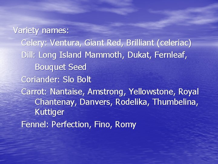 Variety names: Celery: Ventura, Giant Red, Brilliant (celeriac) Dill: Long Island Mammoth, Dukat, Fernleaf,
