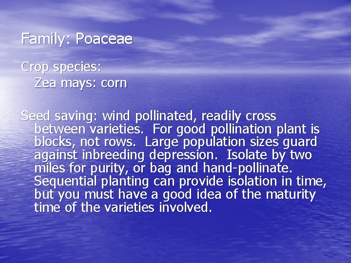 Family: Poaceae Crop species: Zea mays: corn Seed saving: wind pollinated, readily cross between
