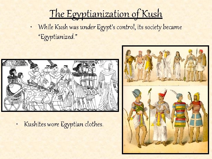 The Egyptianization of Kush • While Kush was under Egypt’s control, its society became