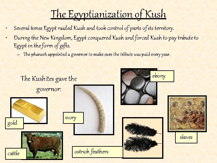 The Egyptianization of Kush • Several times Egypt raided Kush and took control of