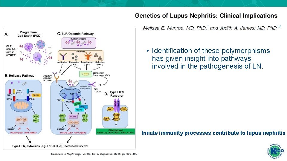• Identification of these polymorphisms has given insight into pathways involved in the • Identification of these polymorphisms has given insight into pathways involved in the