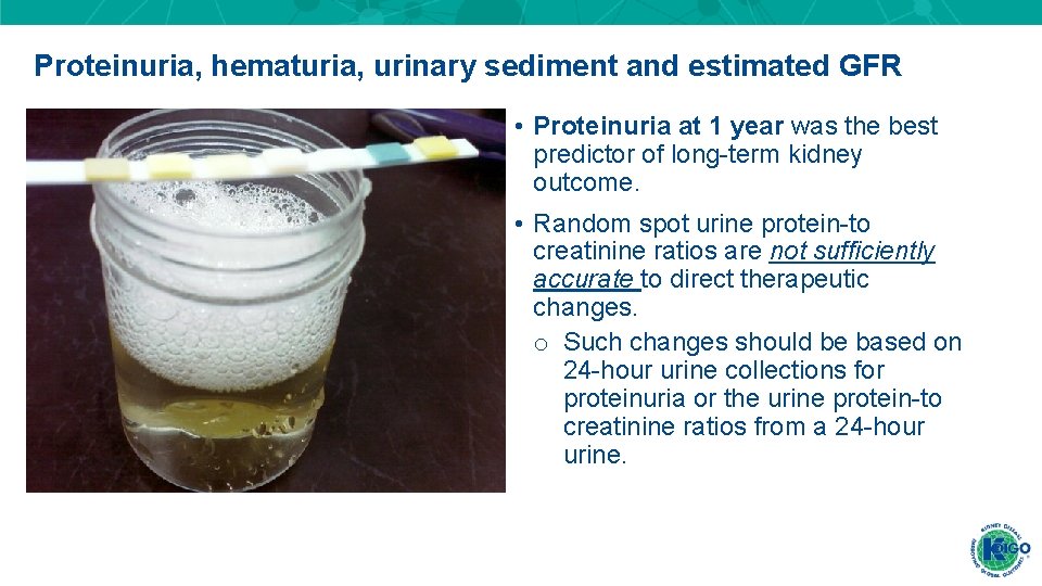 Proteinuria, hematuria, urinary sediment and estimated GFR • Proteinuria at 1 year was the Proteinuria, hematuria, urinary sediment and estimated GFR • Proteinuria at 1 year was the
