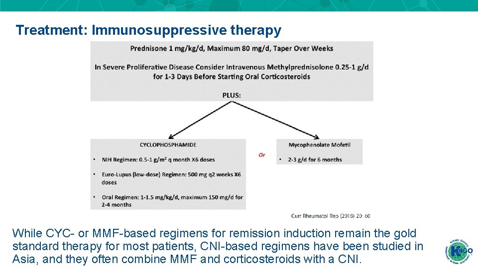 Treatment: Immunosuppressive therapy While CYC- or MMF-based regimens for remission induction remain the gold Treatment: Immunosuppressive therapy While CYC- or MMF-based regimens for remission induction remain the gold