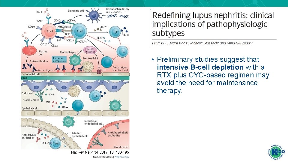 • Preliminary studies suggest that intensive B-cell depletion with a RTX plus CYC-based • Preliminary studies suggest that intensive B-cell depletion with a RTX plus CYC-based
