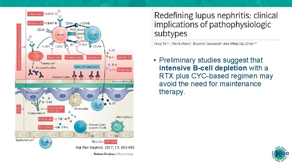 • Preliminary studies suggest that intensive B-cell depletion with a RTX plus CYC-based • Preliminary studies suggest that intensive B-cell depletion with a RTX plus CYC-based