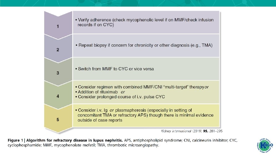 Management And Treatment Of Glomerular Diseases Lupus Nephritis
