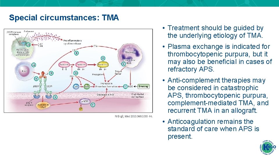Special circumstances: TMA • Treatment should be guided by the underlying etiology of TMA. Special circumstances: TMA • Treatment should be guided by the underlying etiology of TMA.