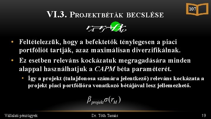 VI. 3. PROJEKTBÉTÁK BECSLÉSE 107 • Feltételezzük, hogy a befektetők ténylegesen a piaci portfóliót