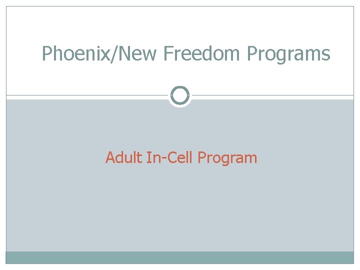 Phoenix/New Freedom Programs Adult In-Cell Program 