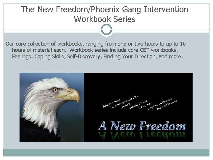 The New Freedom/Phoenix Gang Intervention Workbook Series Our core collection of workbooks, ranging from