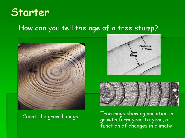 Starter How can you tell the age of a tree stump? Count the growth