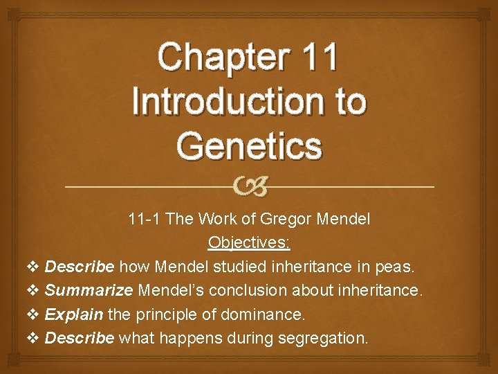 Chapter 11 Introduction to Genetics 11 -1 The Work of Gregor Mendel Objectives: v