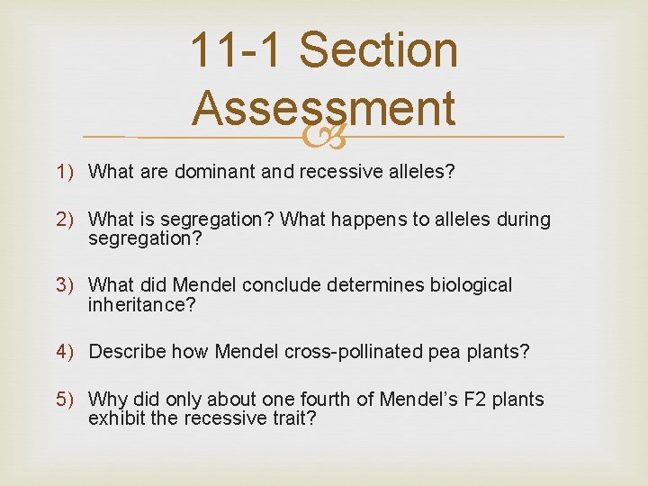11 -1 Section Assessment 1) What are dominant and recessive alleles? 2) What is