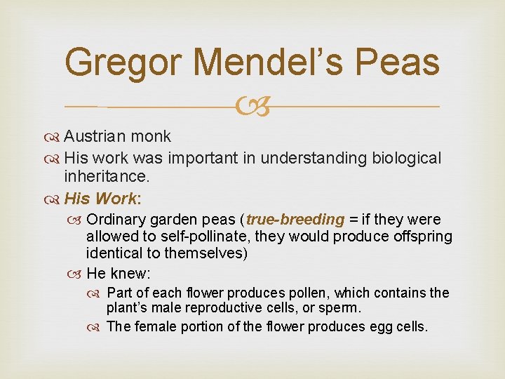 Gregor Mendel’s Peas Austrian monk His work was important in understanding biological inheritance. His