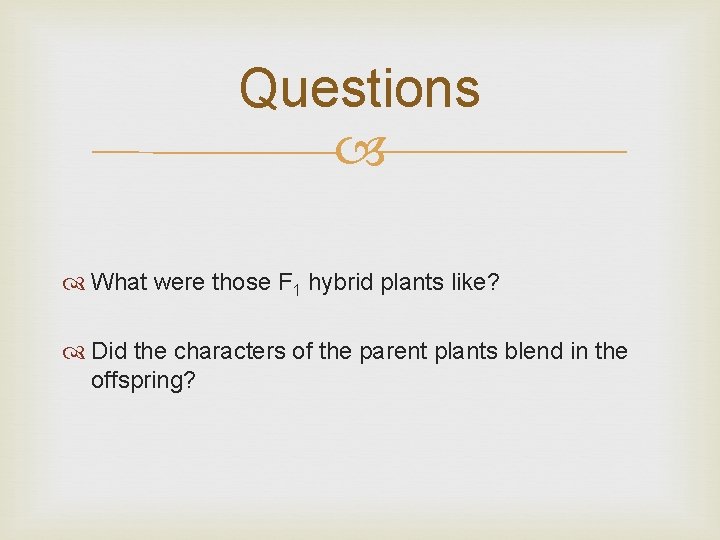 Questions What were those F 1 hybrid plants like? Did the characters of the