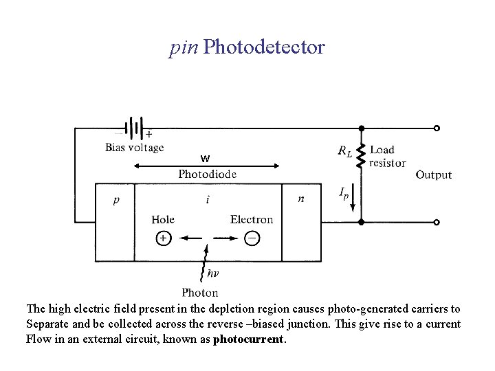 pin Photodetector w The high electric field present in the depletion region causes photo-generated