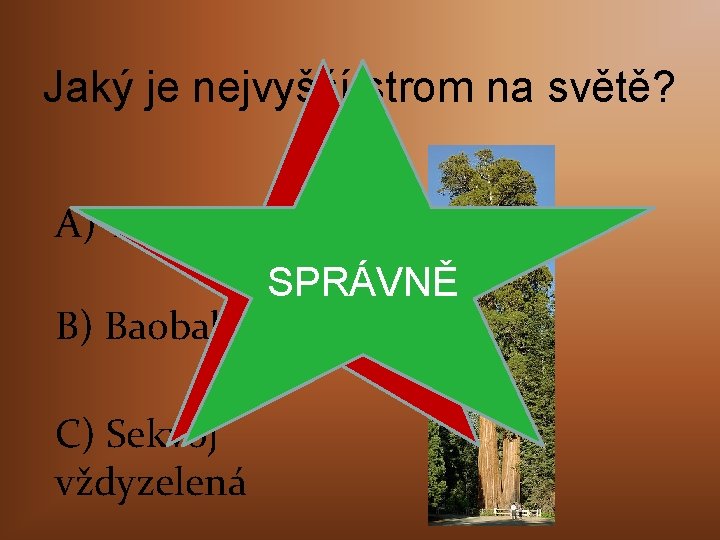 Jaký je nejvyšší strom na světě? A) Topol B) Baobab ŠPATNĚ SPRÁVNĚ C) Sekvoj