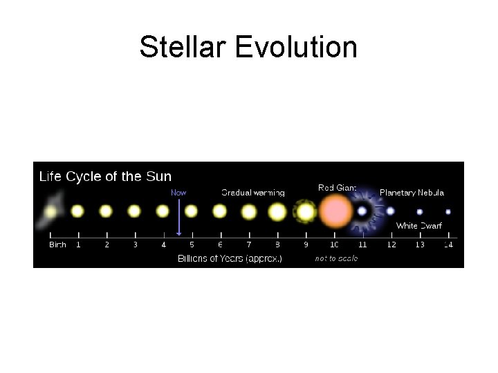Stellar Evolution 
