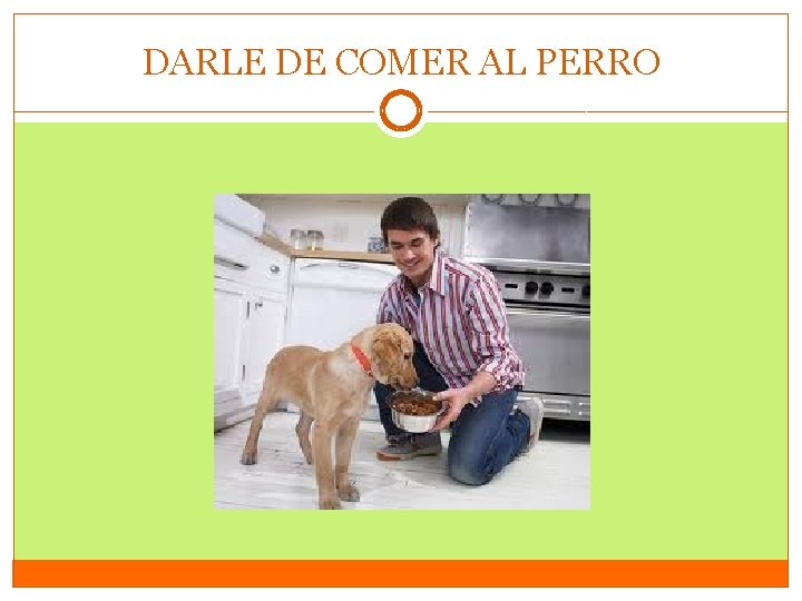 DARLE DE COMER AL PERRO 