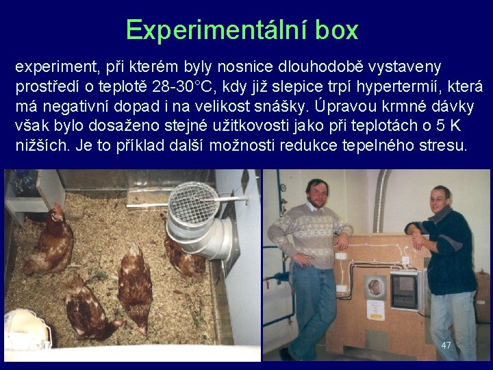 Experimentální box experiment, při kterém byly nosnice dlouhodobě vystaveny prostředí o teplotě 28 -30°C, Experimentální box experiment, při kterém byly nosnice dlouhodobě vystaveny prostředí o teplotě 28 -30°C,