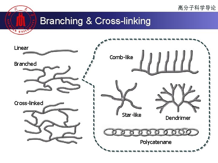 高分子科学导论 Branching & Cross-linking Linear Comb-like Branched Cross-linked Star-like Dendrimer Polycatenane 