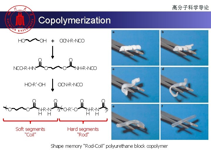 高分子科学导论 Copolymerization OH + HO OCN-R-NCO O NCO-R-HN O O HO-R’-OH O (O O