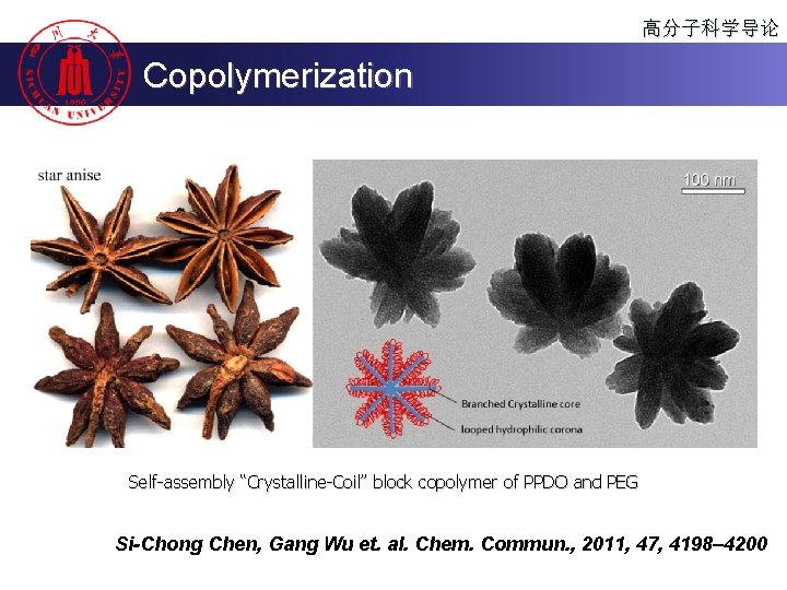高分子科学导论 Copolymerization Self-assembly “Crystalline-Coil” block copolymer of PPDO and PEG Si-Chong Chen, Gang Wu