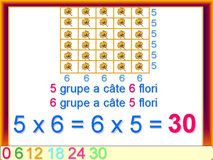 5 5 5 6 6 6 5 grupe a câte 6 flori 6 grupe