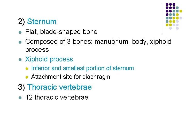 2) Sternum l l l Flat, blade-shaped bone Composed of 3 bones: manubrium, body,