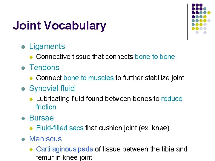 Joint Vocabulary l Ligaments l l Tendons l l Lubricating fluid found between bones