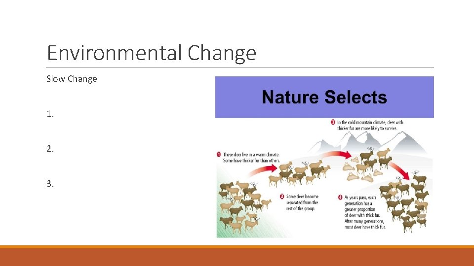 Environmental Change Slow Change 1. 2. 3. 