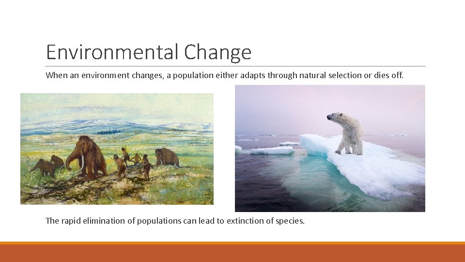 Environmental Change When an environment changes, a population either adapts through natural selection or