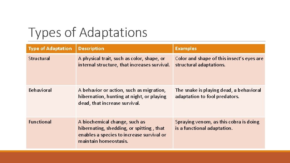 Types of Adaptations Type of Adaptation Description Examples Structural A physical trait, such as