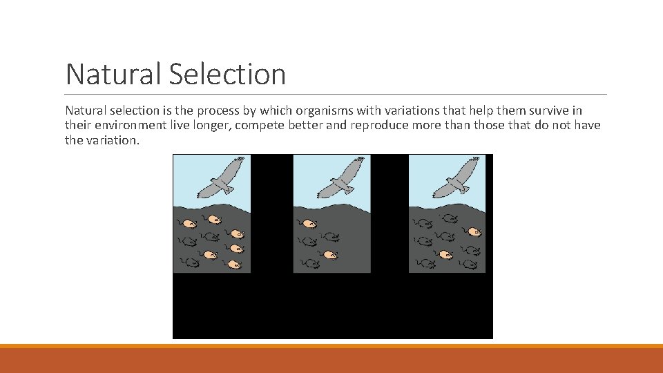 Natural Selection Natural selection is the process by which organisms with variations that help