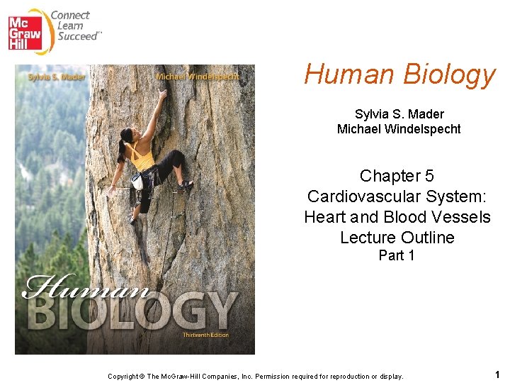 Human Biology Sylvia S. Mader Michael Windelspecht Chapter 5 Cardiovascular System: Heart and Blood