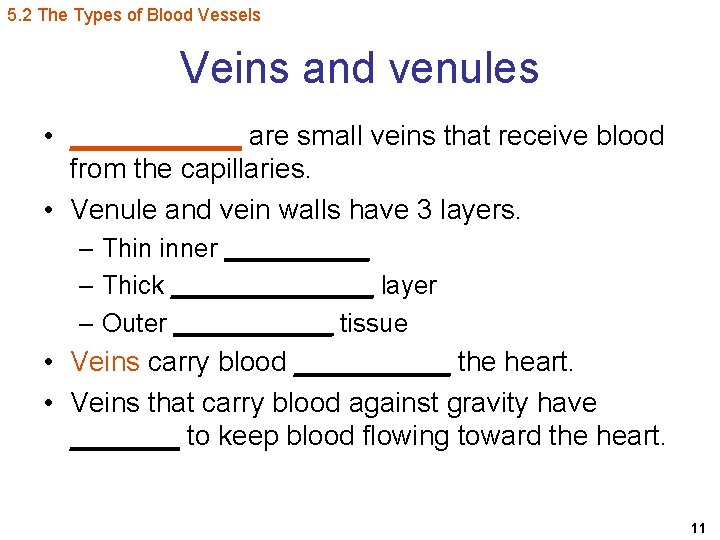 5. 2 The Types of Blood Vessels Veins and venules • ______ are small